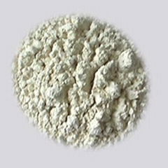 rice protein concentrate