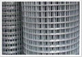 welded wire mesh 1