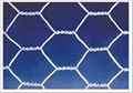 Hexagonal Wire Netting 