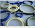 oil seal pressure resistant with protective lip standard design