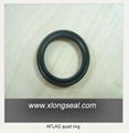 AFLAS quard ring