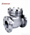 API swing/lift check valve/valves 2