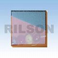 Silicon sheet 1