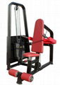 Fitness Equipment /Gym Machine/Tricep Dip SM06 