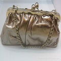 Evening bag 1