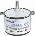 Synchromesh Gear Motor (50KTYZ)