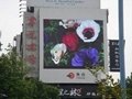  outdoor and indoor led display 1