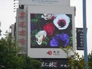  outdoor and indoor led display