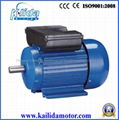 double value single phase electric motor