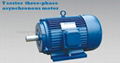 Y three phase asychronous electric motor