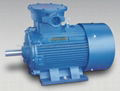 Explosion-proof Three Phase Asychronous Electric Motor 1