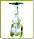 gate valve