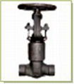 gate valve