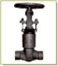 gate valve