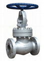 globe valve