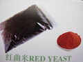 RED YEAST RICE