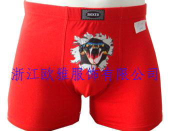 men's boxer,men's briefs