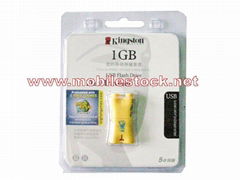 Kingston 1GB MINI USB Flash Drive