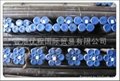 Seamless Steel Pipe and Tubes  3