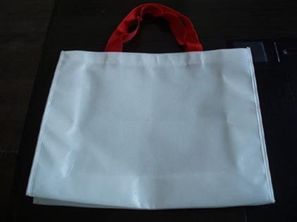 PP Non-Woven Bag (HBNB-005)
