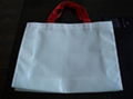 PP Non-Woven Bag (HBNB-005) 1