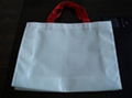 PP Non-Woven Bag (HBNB-005)