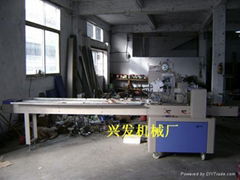 Food Packaging Machine Automatic Pillow 