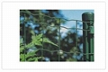 Euro fence 4