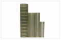 Welded Wire Mesh 3