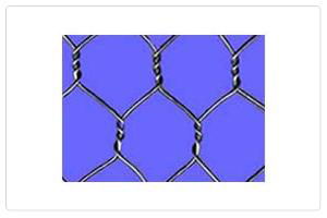 Hexagonal Wire mesh