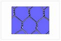 Hexagonal Wire mesh