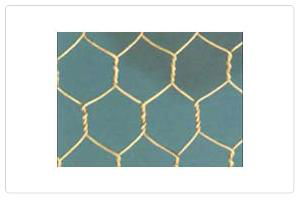 Hexagonal Wire mesh 2