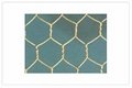 Hexagonal Wire mesh 2
