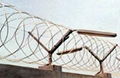 razor barbed wire 1