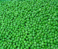 Frozen Green Pea 