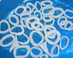 Frozen Squids Ring
