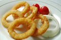 Frozen Battered Formed Onion Rings  3