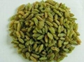 green raisins, red raisins and gold yellow raisins 5