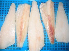 pollock fillets