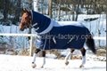 horse blanket SMR1600