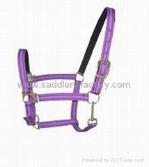 Head collar