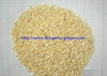 SELL GARLIC GRANULES(ALL SIZE) 1