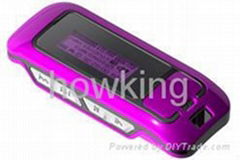 Private tooling MP3 player