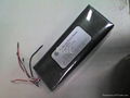 ELECTRIC BIKE BATTERY