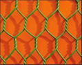 Hexagonal Wire Mesh