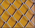 Chain Link Fence  1