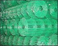 PVC wire mesh 1