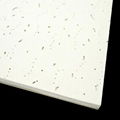 mineral fiber ceiling board 2