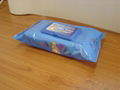 Baby Wipes 5