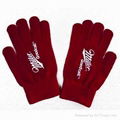 Acrylic Gloves 2